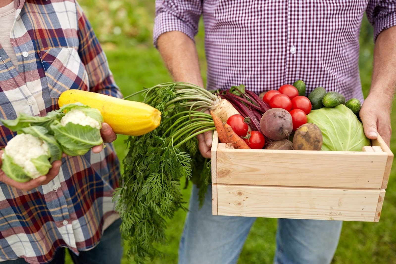 Nebraska Food Cooperative Online