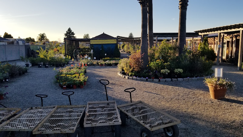 Tierra Madre Farm-Rare & Heirloom Fruit Trees and Vegetable Seeds photo 2