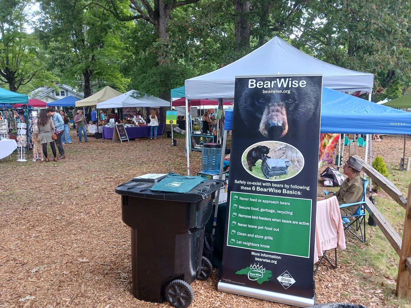 Black Mountain Tailgate Market photo 2