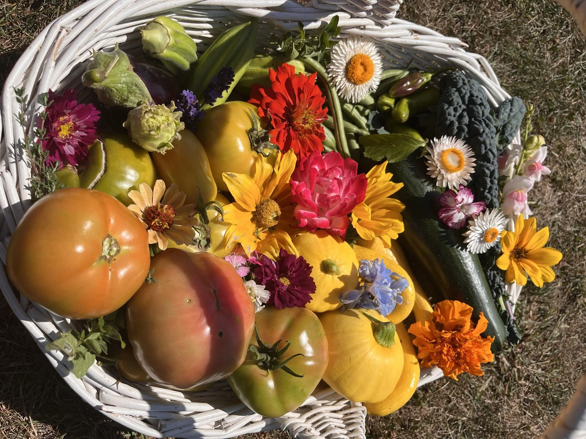 Sidewalk Blooms
