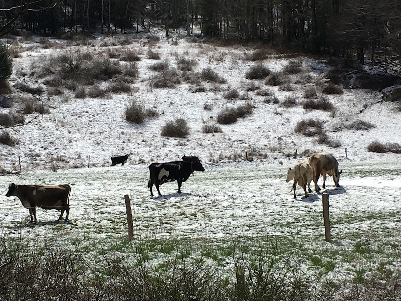 The Lands at Hillside Farms