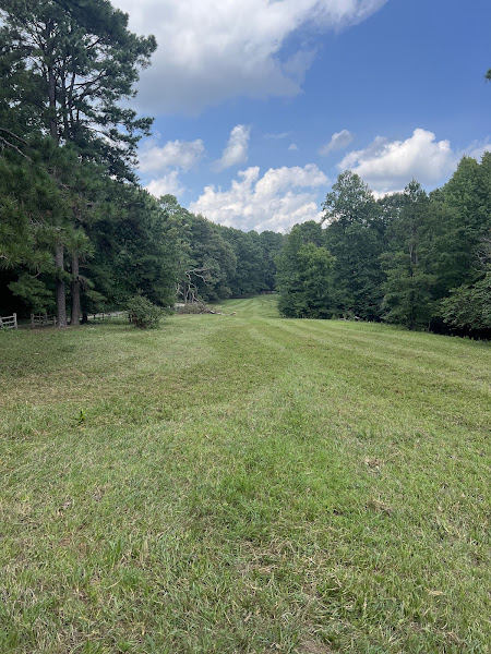 River Mountain Ranch photo 3