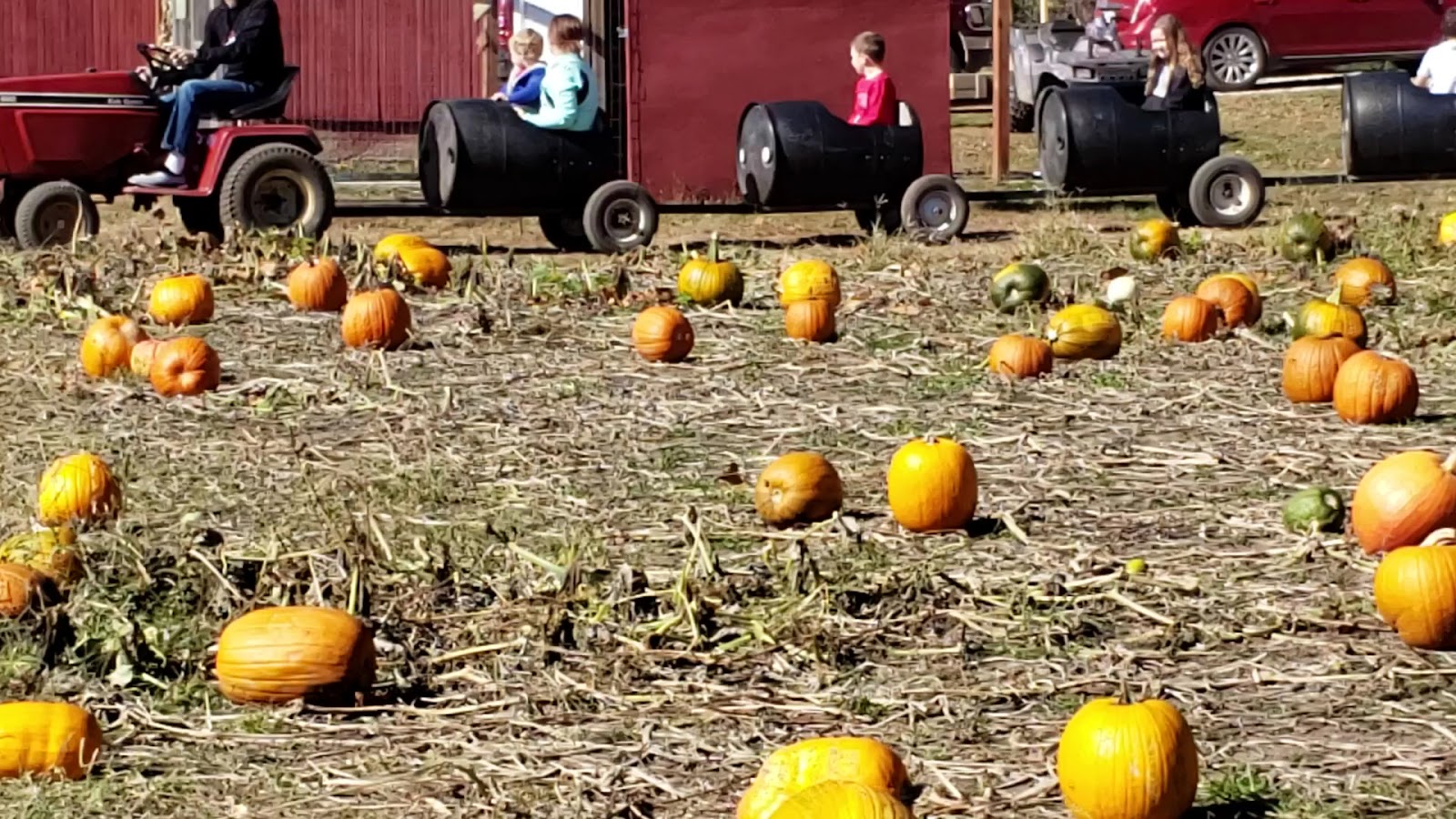 Red Barn Family Farm photo 3