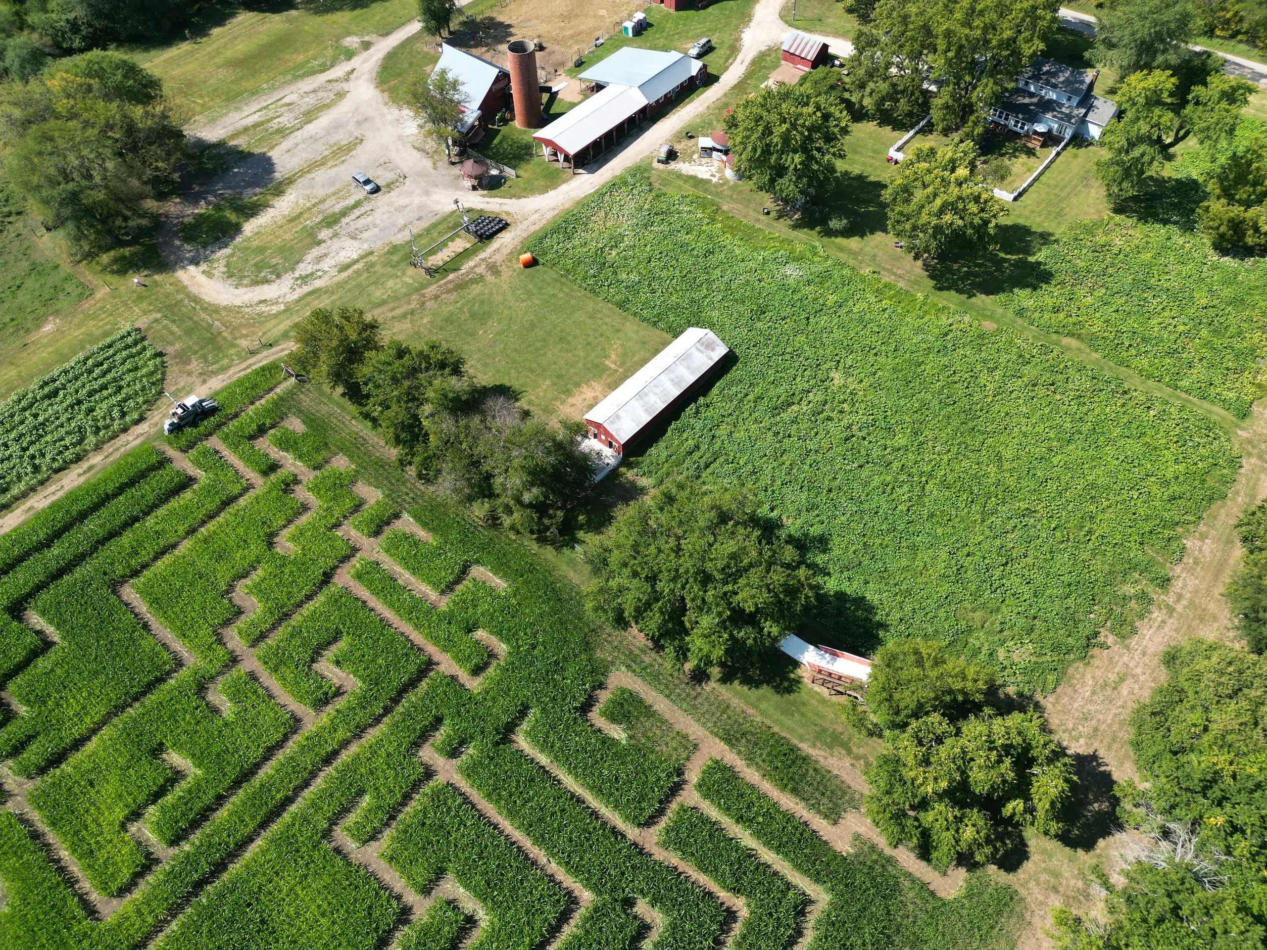 Red Barn Family Farm photo 4