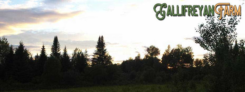 Aurora Mills & Farms