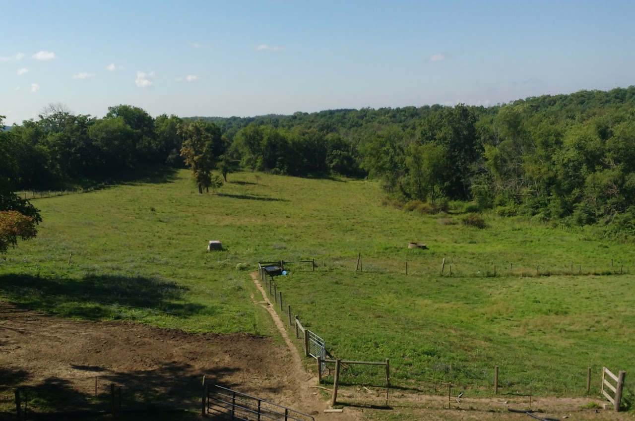 Fidé Farm and Dairy