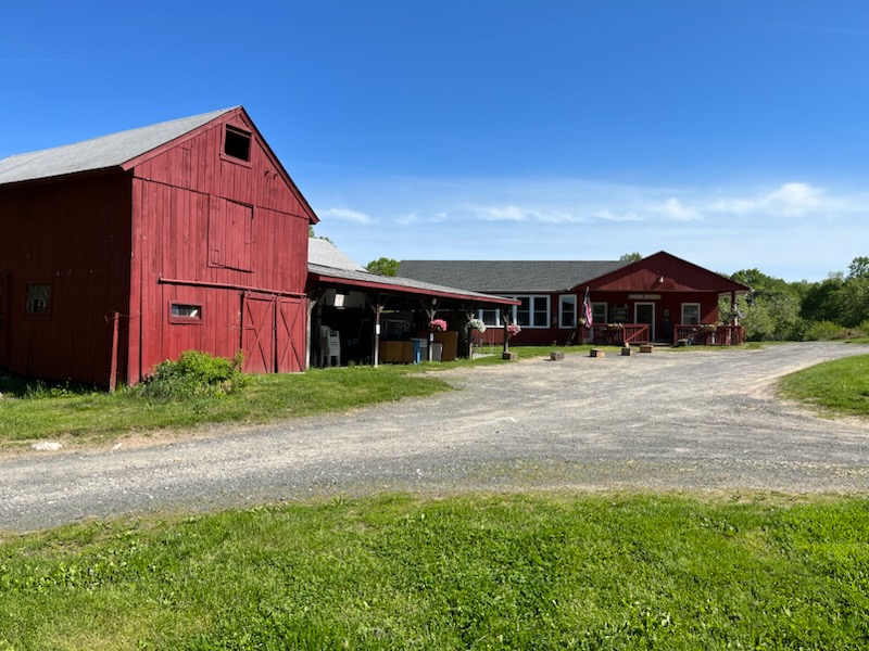 Lost Acres Orchard photo 3