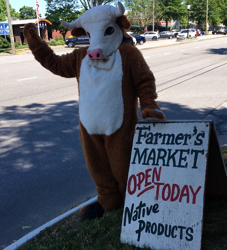 Old Saybrook Summer Farmers Market