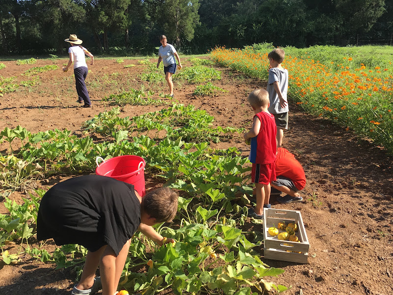Jubilee Farms photo 9