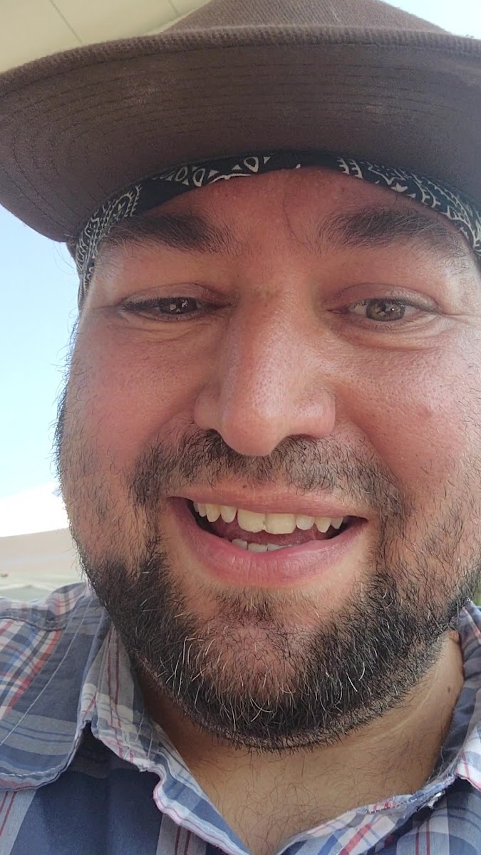 Benton Harbor Farmers Market photo 2