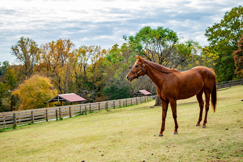 Maymont Farm photo 23