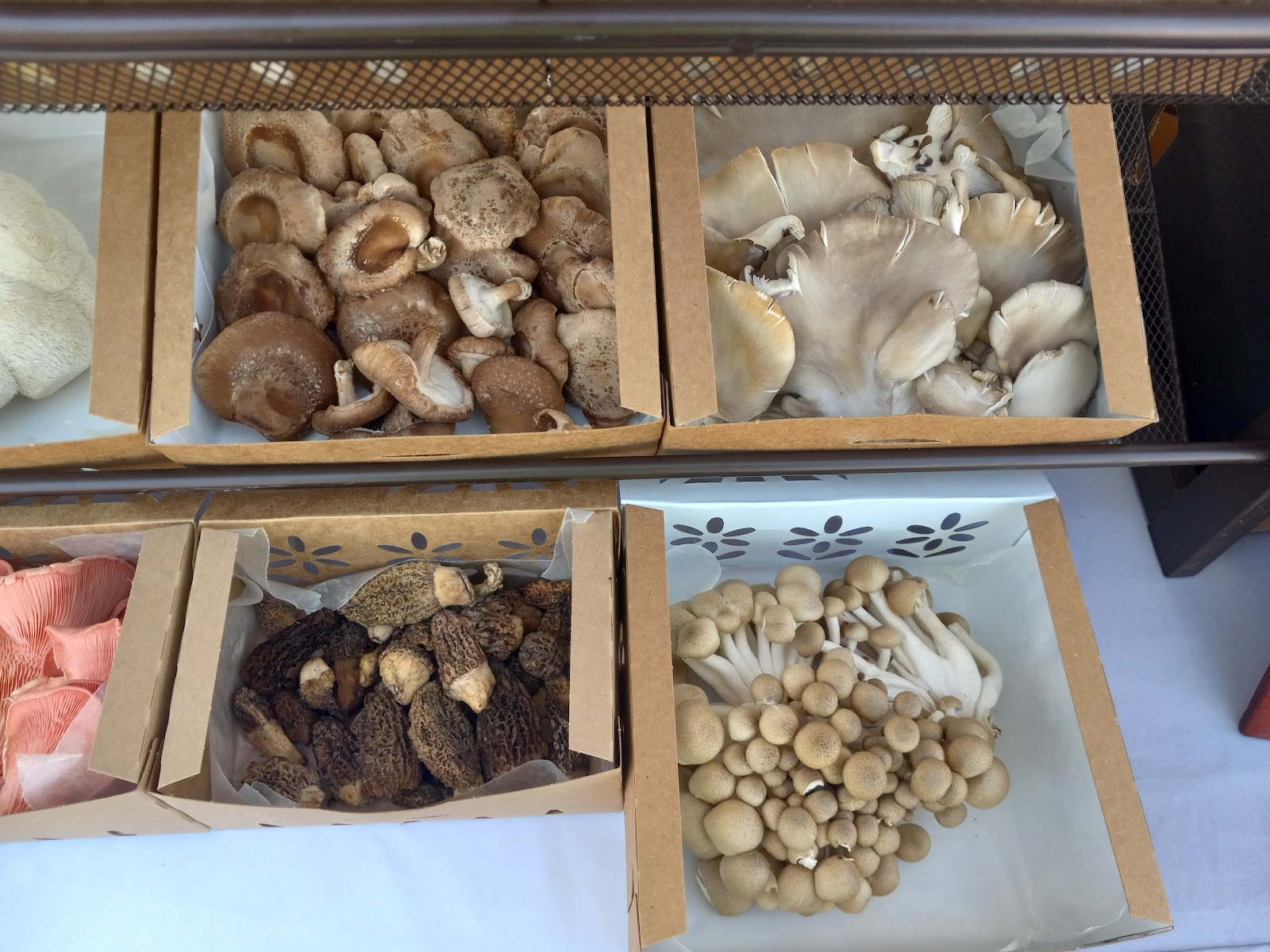 Ohio Valley Farmers' Market photo 2