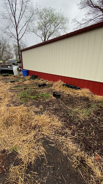 Fangboner Farms photo 3