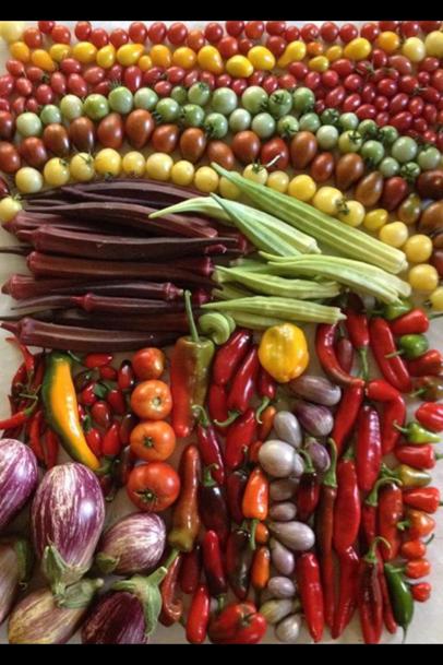 Soileau Family Cajun Farm