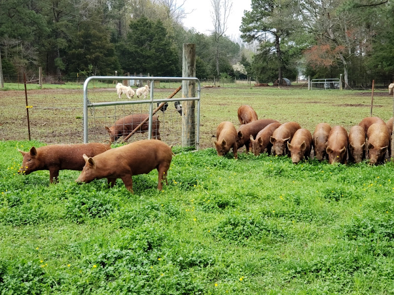 Alleluia Acres Heritage Farm, LLC