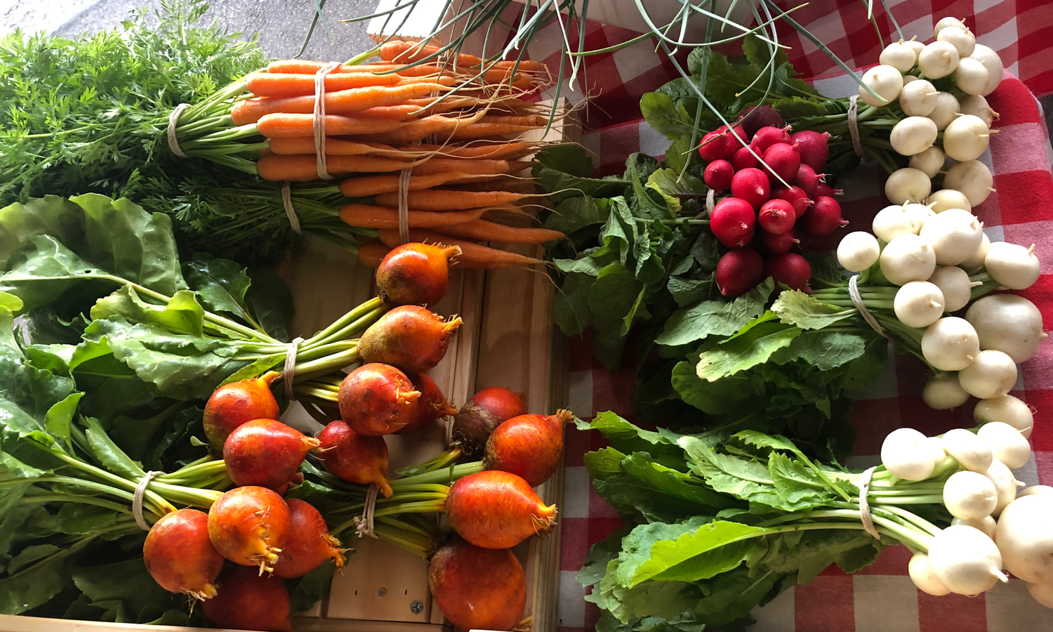 Reno County Farmer's Market
