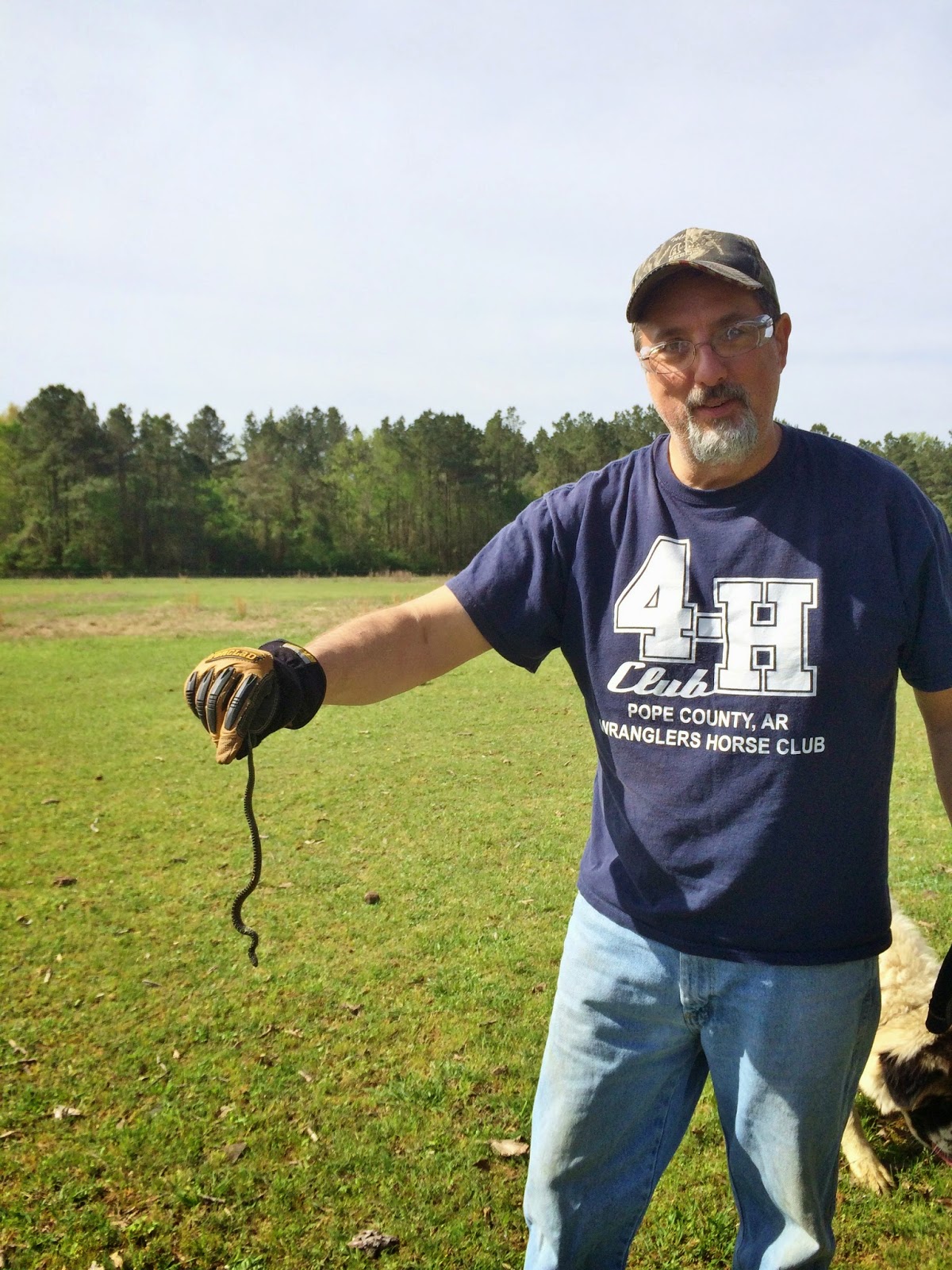 Harmon PFarms photo 2
