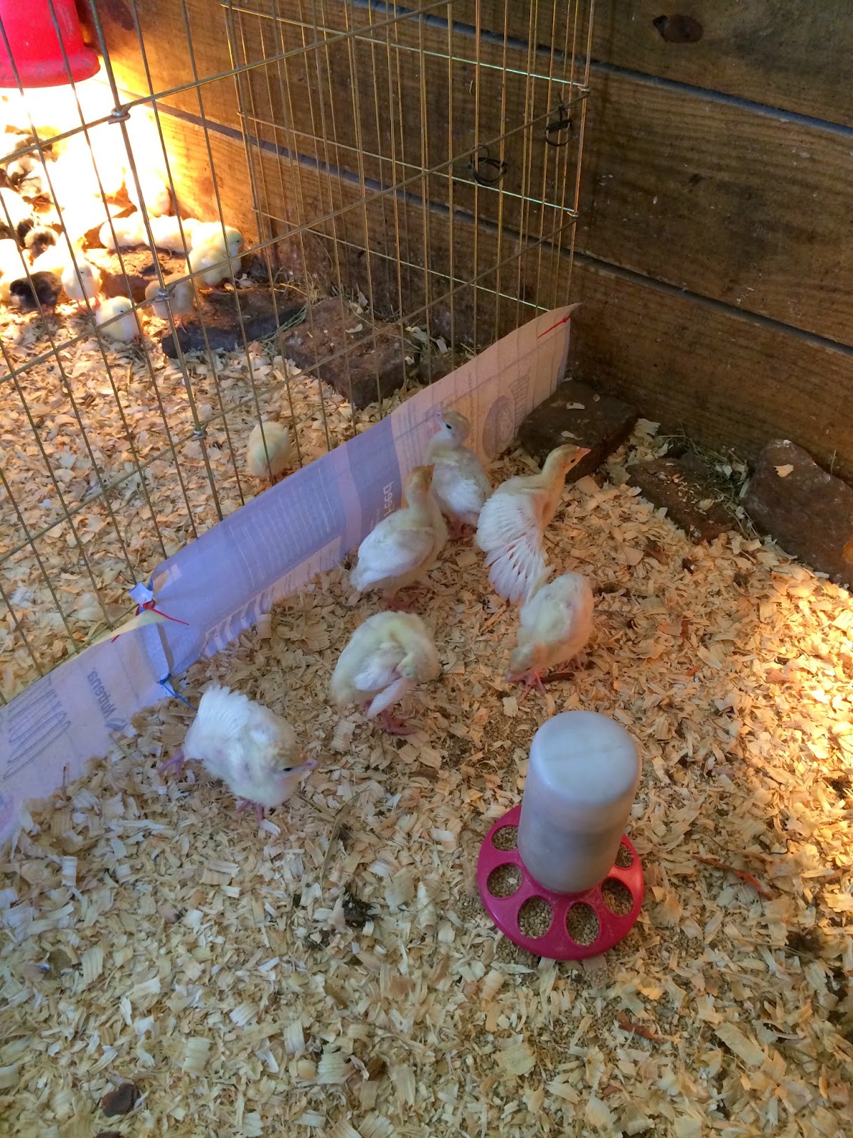 Harmon PFarms photo 3