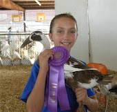 Harmon PFarms photo 5