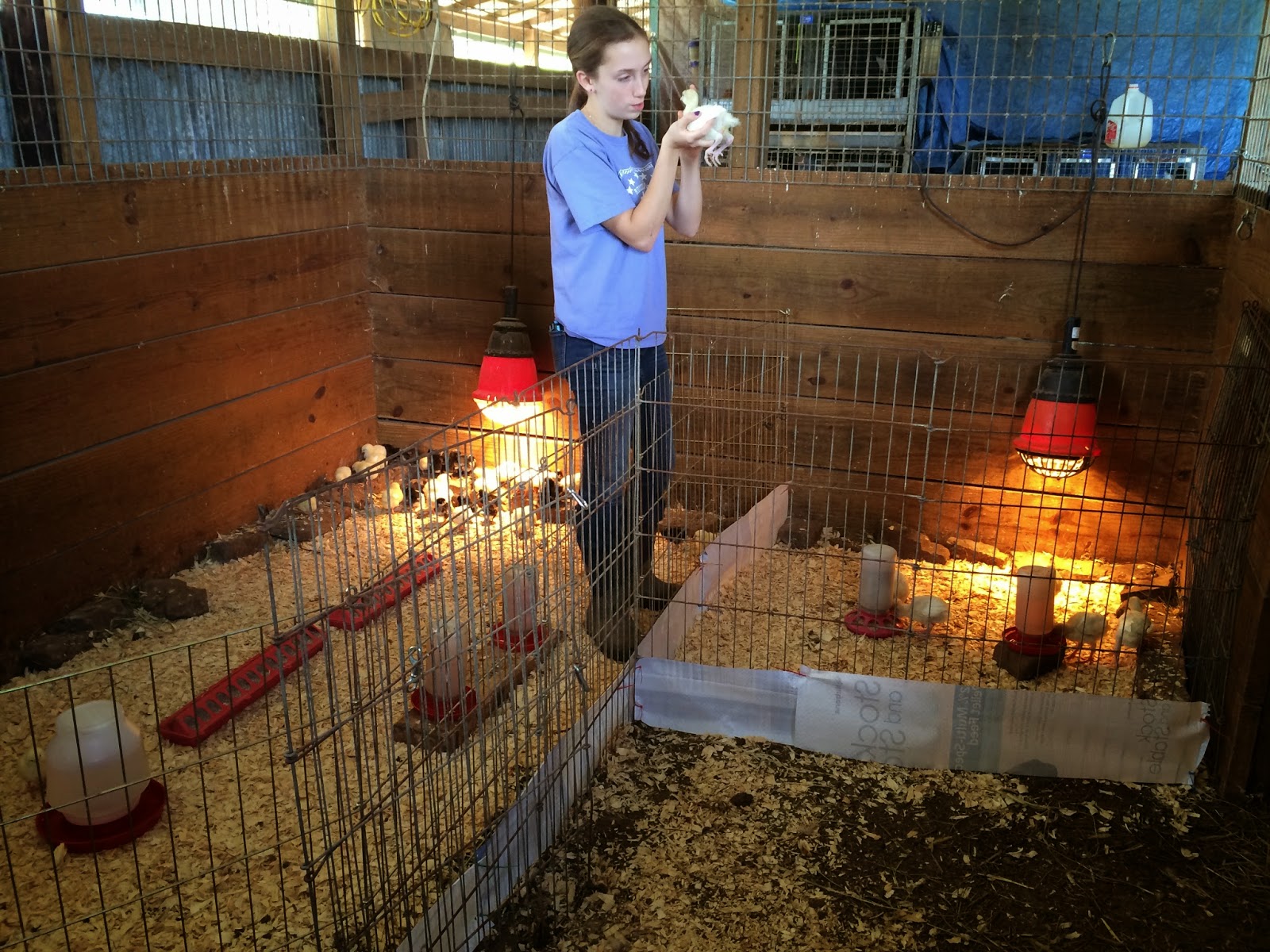 Harmon PFarms photo 6