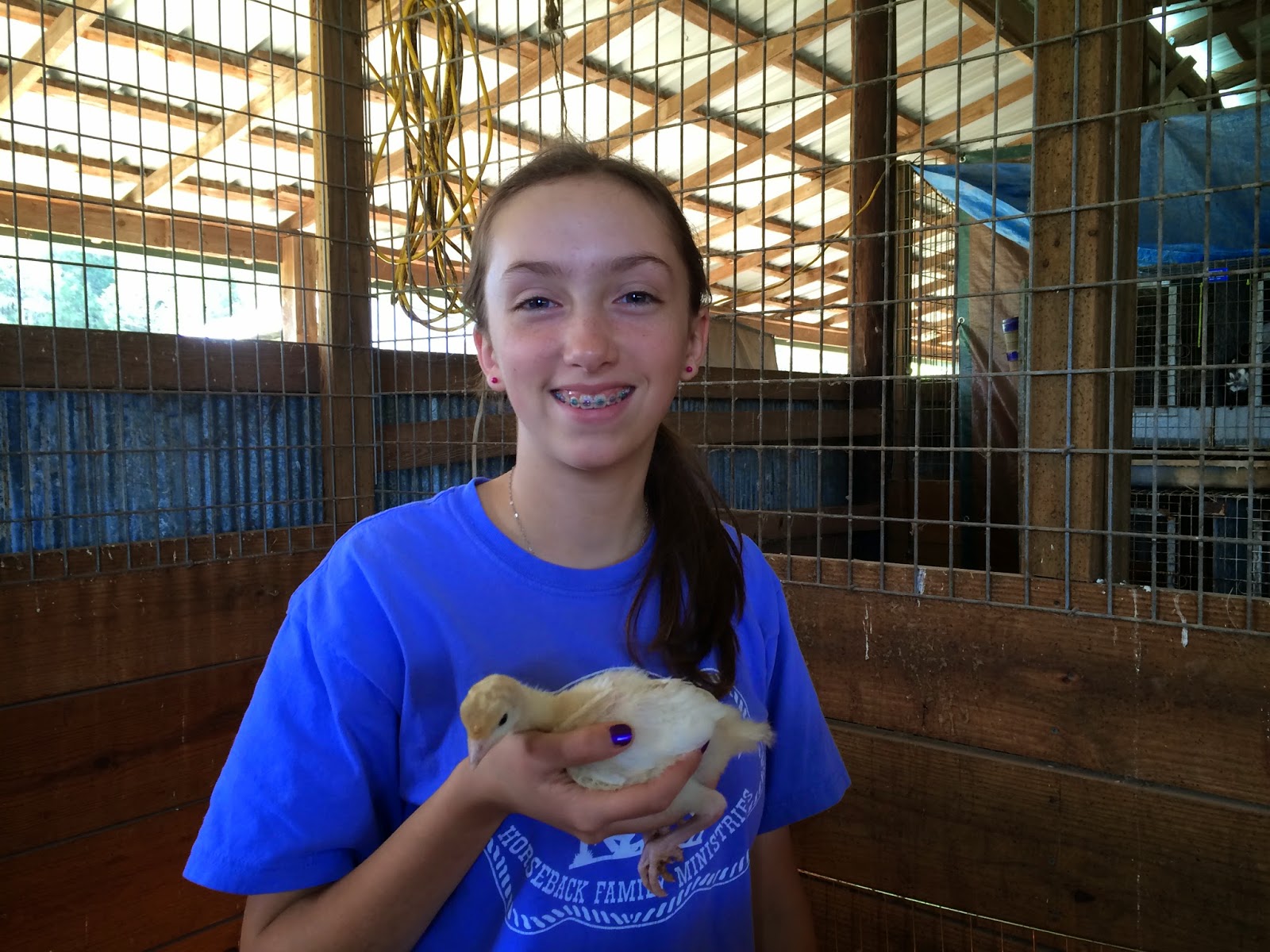 Harmon PFarms photo 7