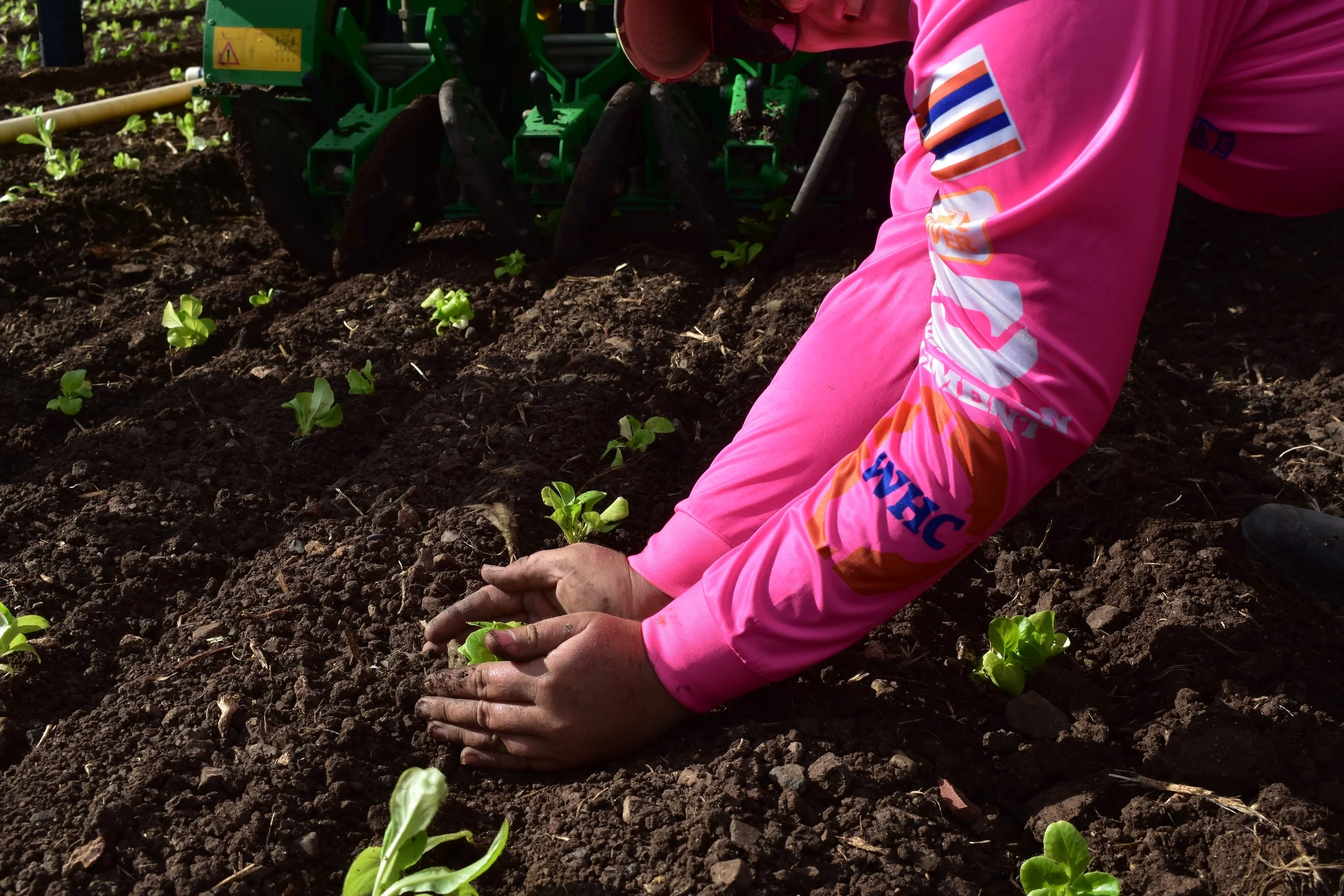 MAʻO Organic Farms Palikea Site