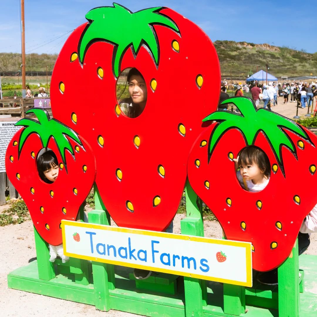 Tanaka Farms
