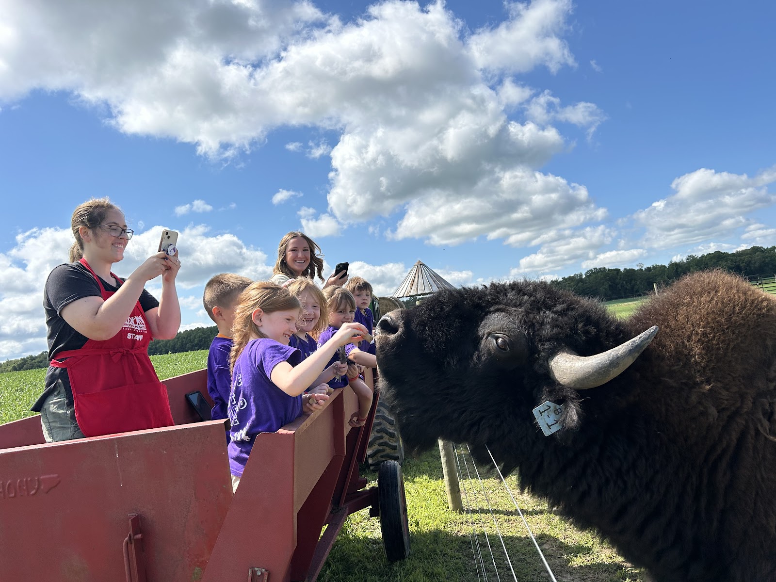 Eel River Bison Ranch