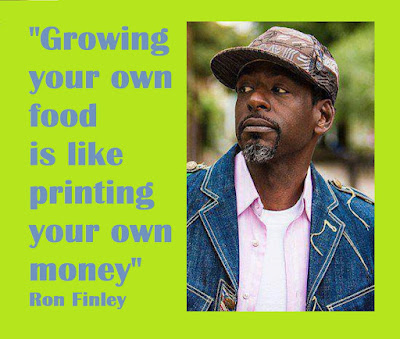 Amen Ankh Urban Farm photo 11