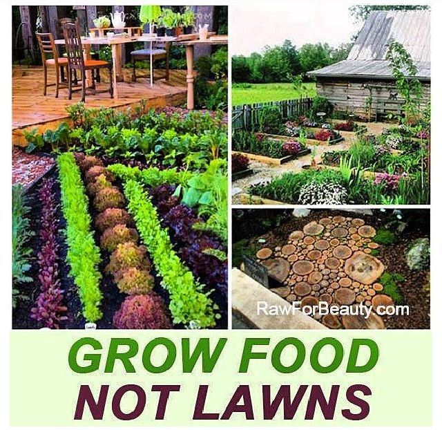 Amen Ankh Urban Farm photo 12