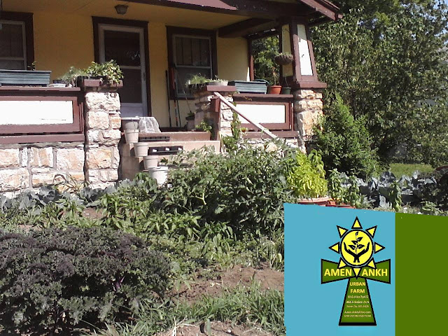 Amen Ankh Urban Farm photo 13