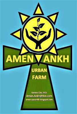 Amen Ankh Urban Farm photo 3