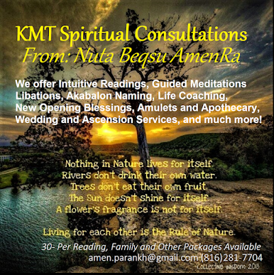 Amen Ankh Urban Farm photo 23