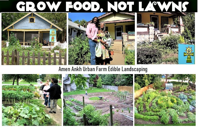 Amen Ankh Urban Farm photo 5