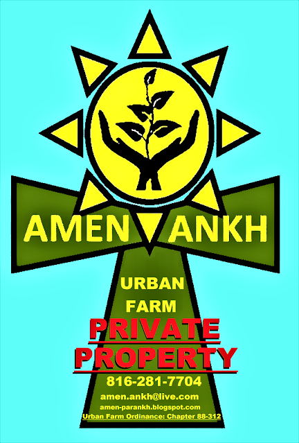 Amen Ankh Urban Farm photo 9