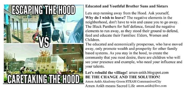 Amen Ankh Urban Farm photo 10