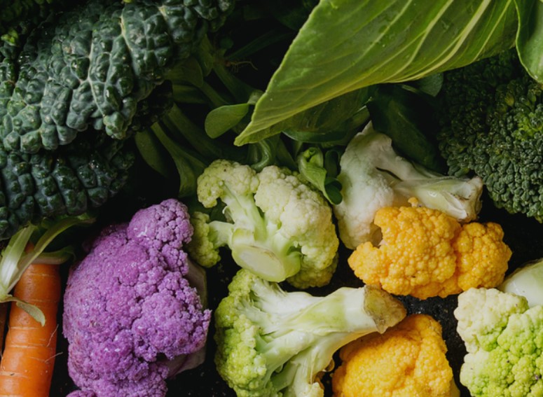 The Farms of Illinois