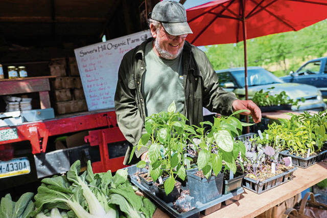 Sarver's Hill Organic Farm & CSA