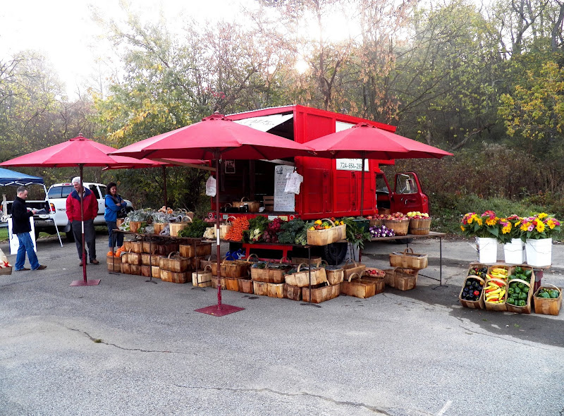 Sarver's Hill Organic Farm & CSA photo 2