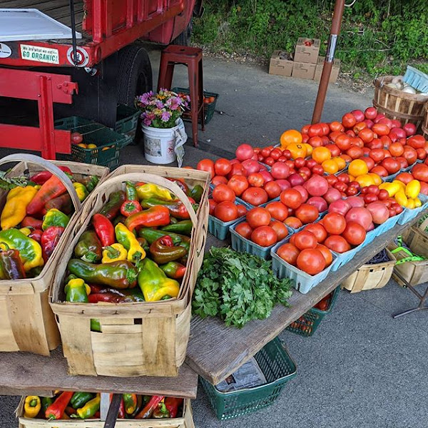 Sarver's Hill Organic Farm & CSA photo 3