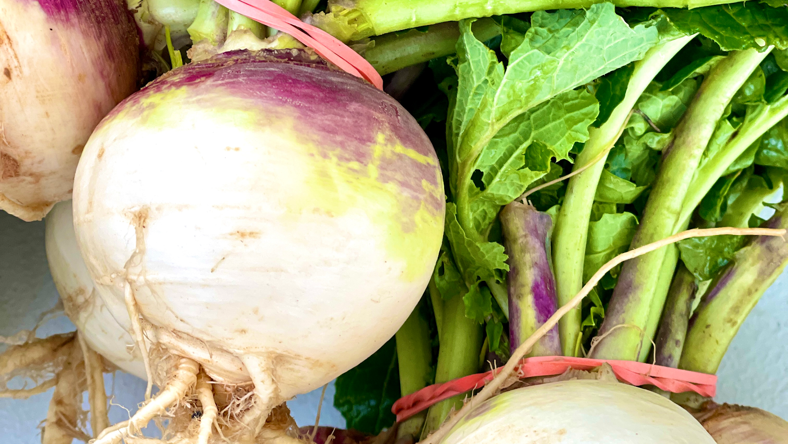 Nolensville Farmers' Market photo 5