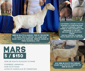 Goatilicious LLC photo 11