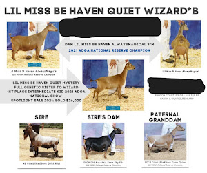 Goatilicious LLC photo 5