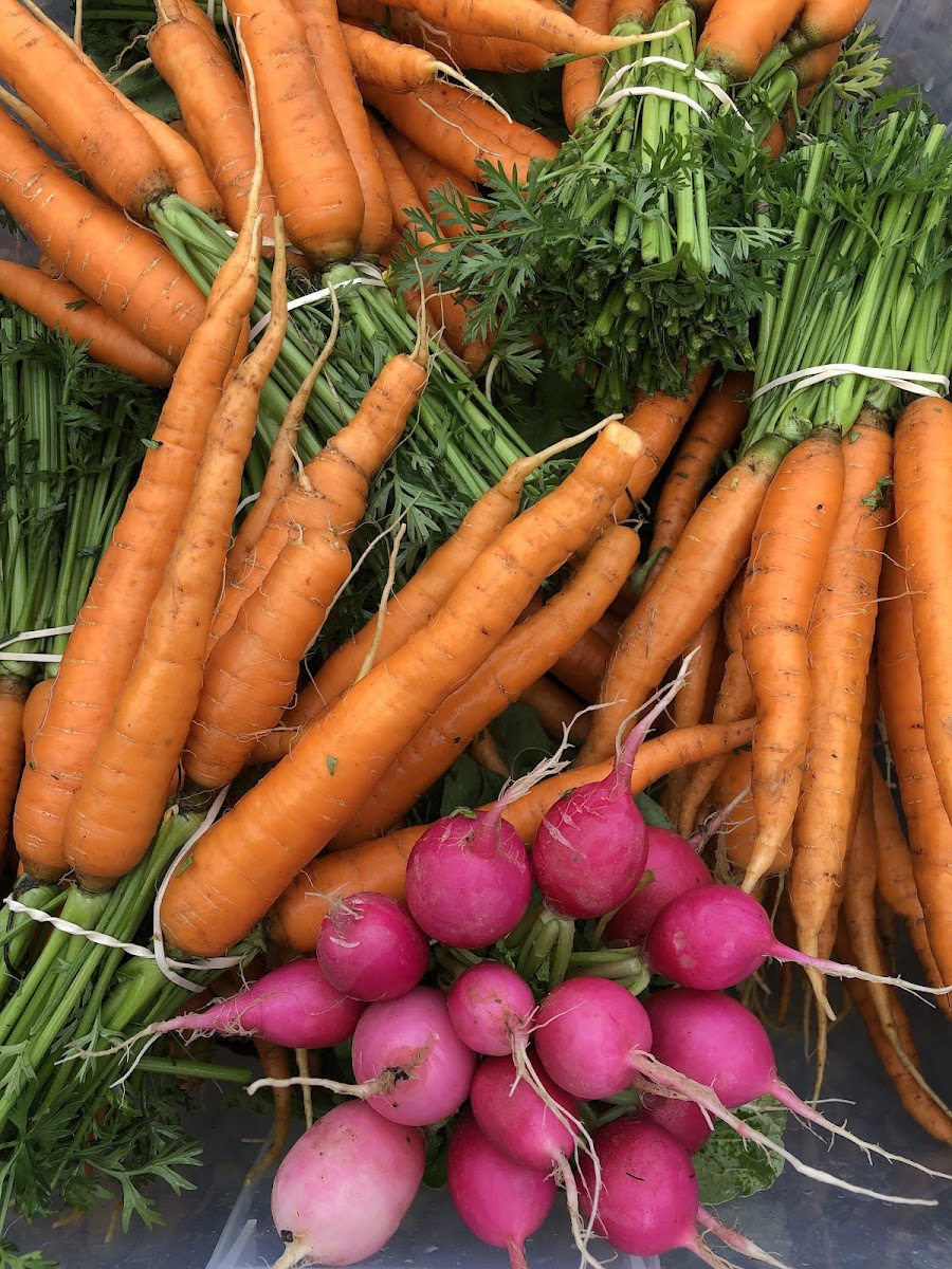 Five Elements Farm