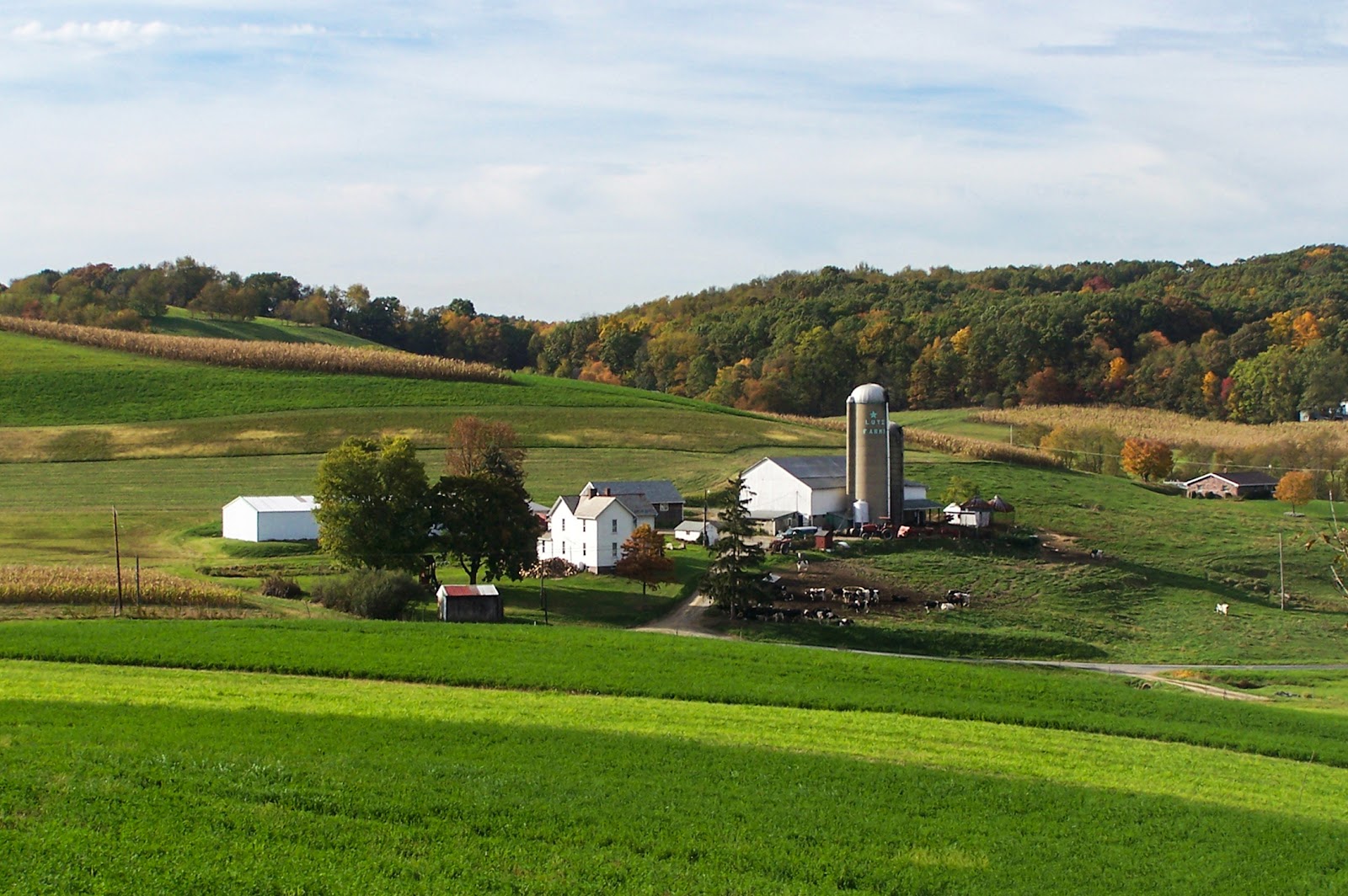 Five Elements Farm photo 5