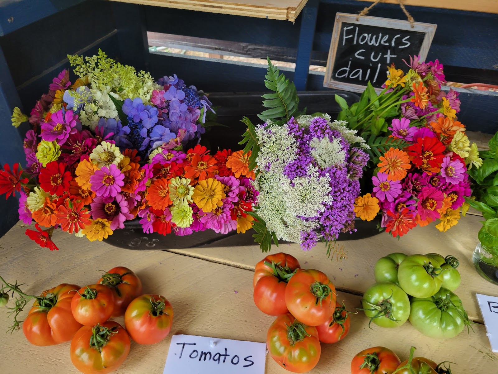 Harvest Moon Farm Ellijay