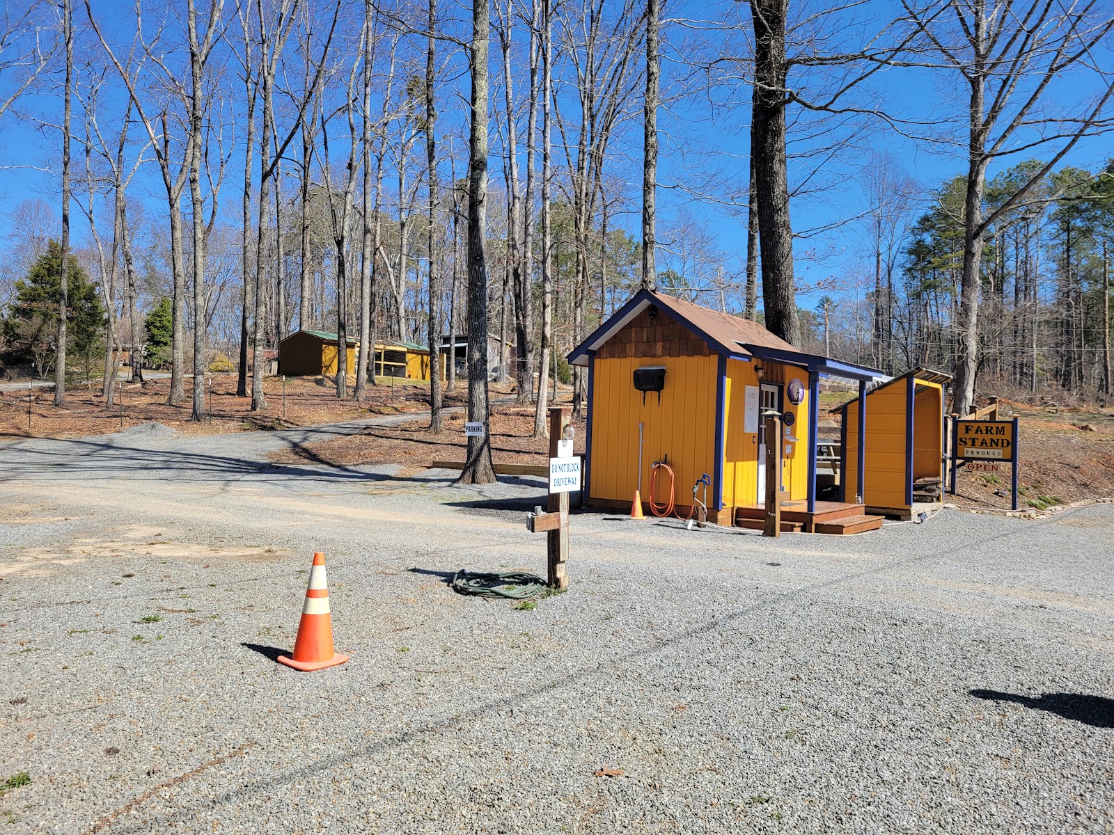 Harvest Moon Farm Ellijay photo 4