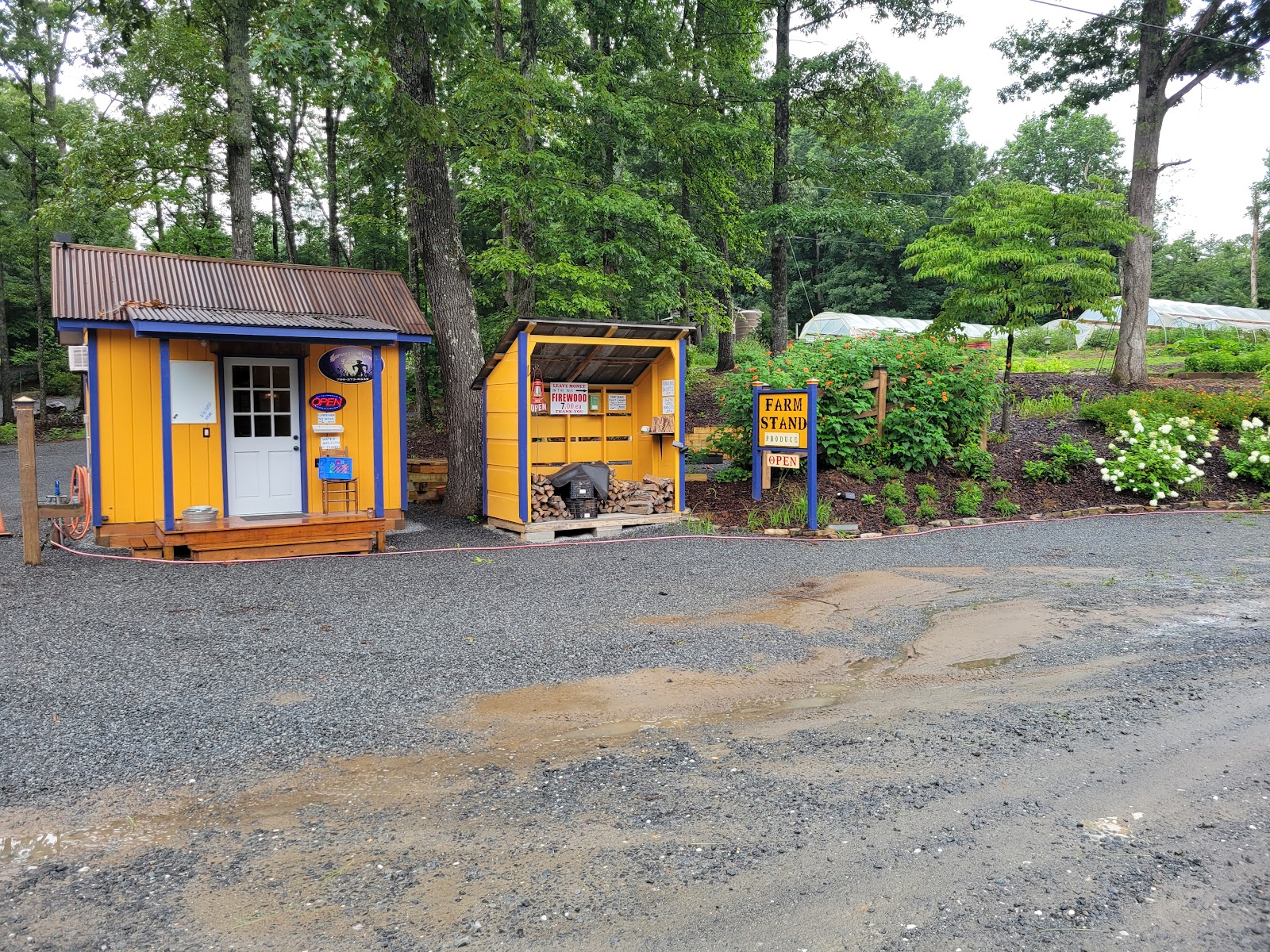 Harvest Moon Farm Ellijay photo 5