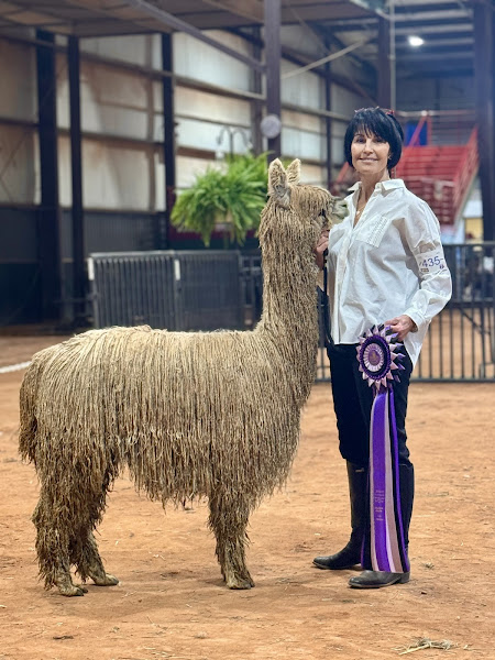 Northern Prairie Alpacas, LLC photo 2