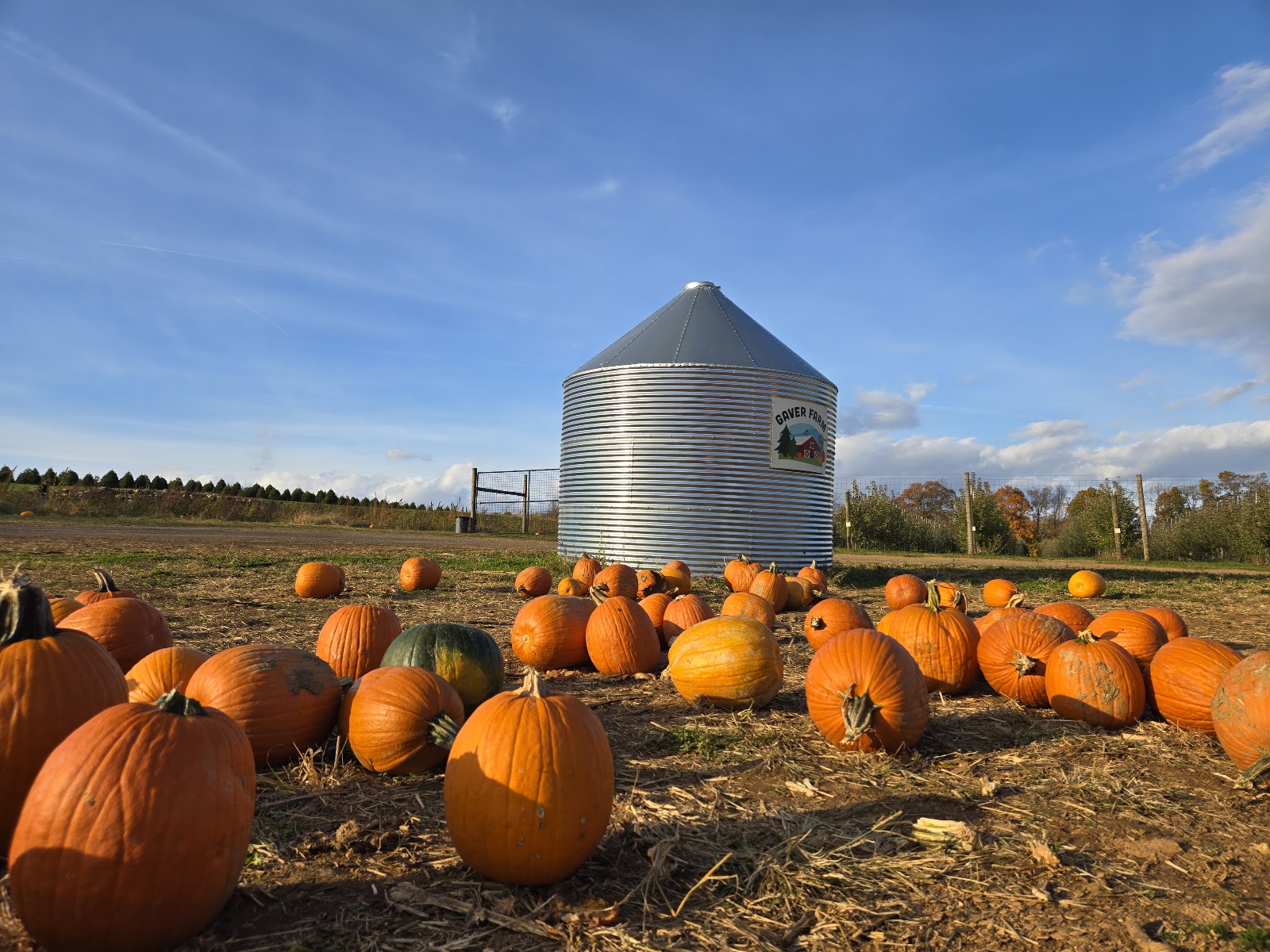 Gaver Farm, LLC photo 2